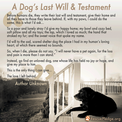 dogs-last-will