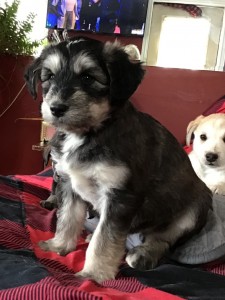 Jude