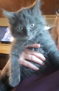 Max