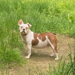 Macy