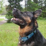 Riggs – COURTESY POST – PENDING